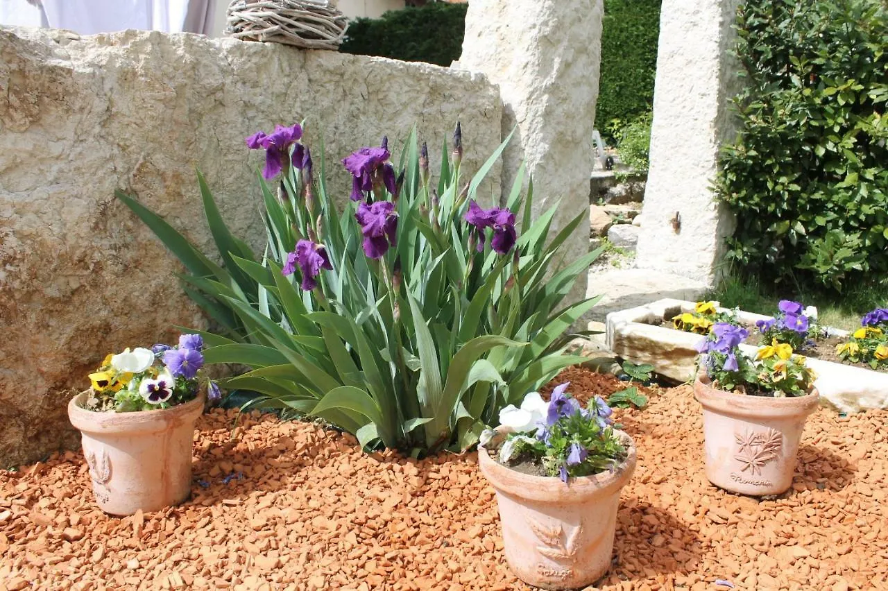 Druillat Les Trois Maisons בית נופש